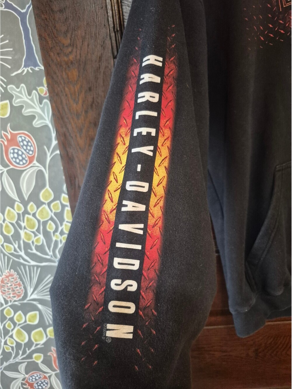 Harley-Davidson Hoodie - Picture 3 of 7